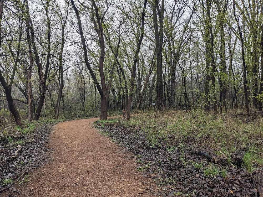 A person walking along a path through a park.